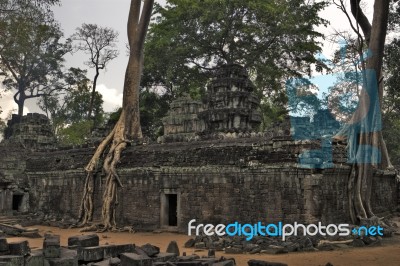 Ta Prohm Temple Stock Photo