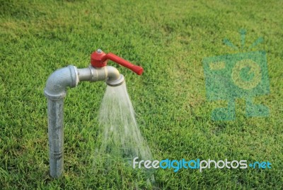 Tab Water Flowing Out From The Tab To Green Grass Field Stock Photo