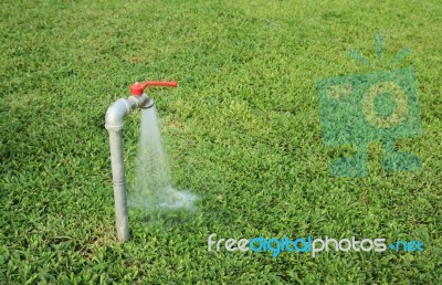 Tab Water Flowing Out From The Tab To Green Grass Field Stock Photo