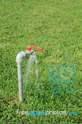 Tab Water Flowing Out From The Tab To Green Grass Field Stock Photo