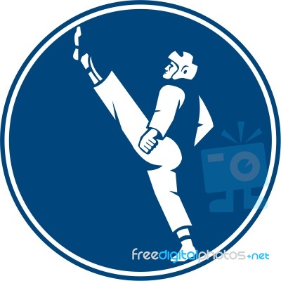 Taekwondo Fighter Kicking Stance Circle Icon Stock Image