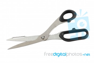 Tailor Scissors Stock Photo