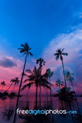 Tall Coconut Palm Trees At Twilight Sky Reflected In Water Stock Photo