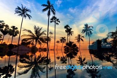 Tall Coconut Palm Trees At Twilight Sky Reflected In Water Stock Photo