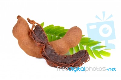 Tamarind Isolated On The White Background Stock Photo