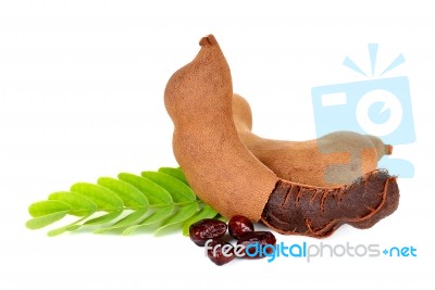 Tamarind Isolated On The White Background Stock Photo