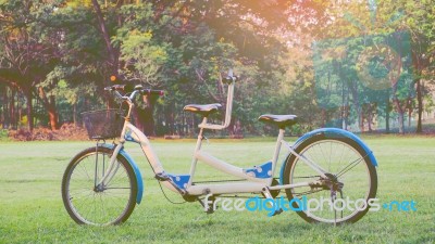 Tandem Bicycle In The Park Stock Photo