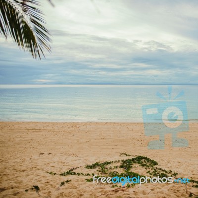 Tangalooma Island Beach In Moreton Bay.  Stock Photo