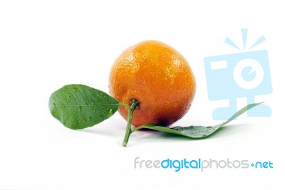 Tangerine Stock Photo