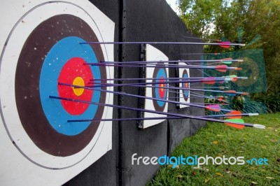 Target Archery And Many Arrow Stock Photo