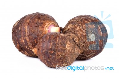 Taro Isolated On White Background Stock Photo