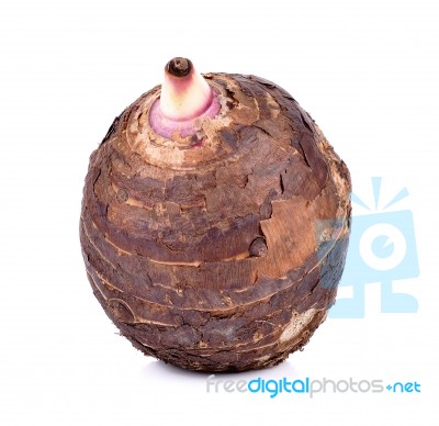 Taro Isolated On White Background Stock Photo