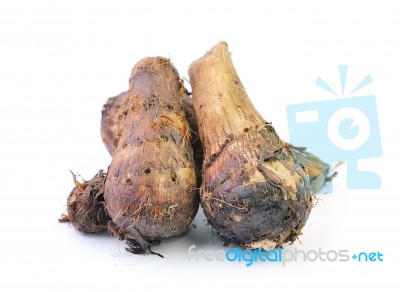 Taro Roots On White Stock Photo