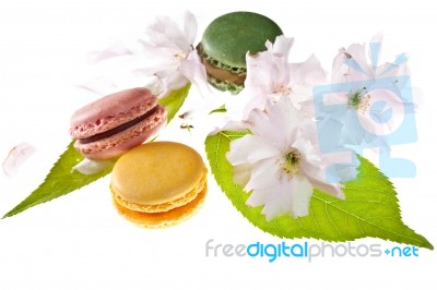 Tasty Colorful Macaroons Stock Photo