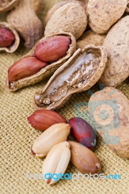 Tasty Peanuts Stock Photo