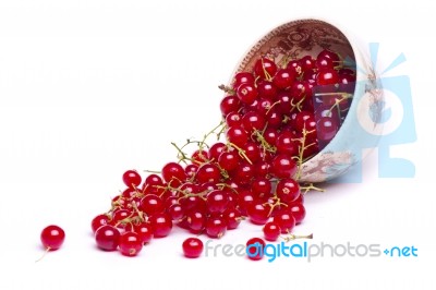 Tasty Red Currant Berries Stock Photo