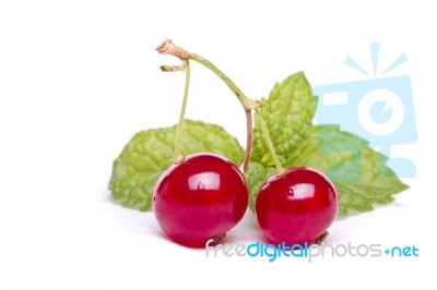 Tasty Red Currant Berries Stock Photo