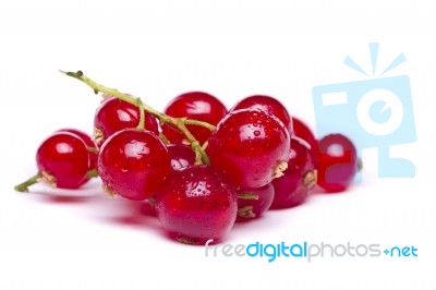 Tasty Red Currant Berries Stock Photo