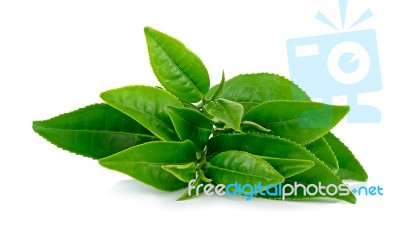 Tea Leaves Isolated On The White Background Stock Photo