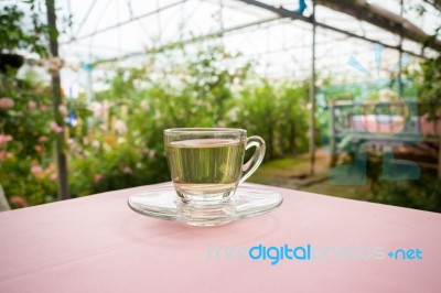 Tea Time In The Garden Stock Photo