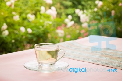 Tea Time In The Garden Stock Photo