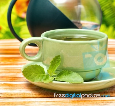 Tea With Mint Means Herbs Refreshed And Refresh Stock Photo