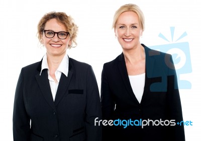 Team Of Two Smiling Businesswomen Posing Stock Photo