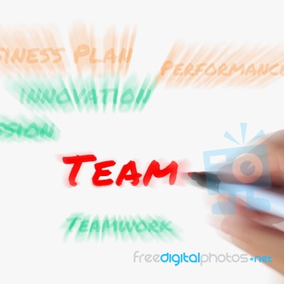 Team Words On Whiteboard Displays Teamwork And Partnership Stock Image