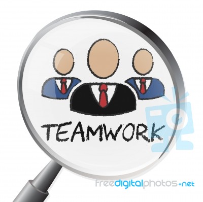 Teamwork Magnifier Indicates Search Magnification And Teams Stock Image