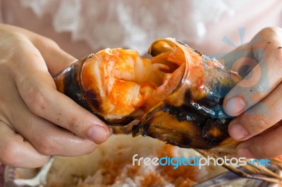 Tear The Grilled Shrimp By Hands Stock Photo