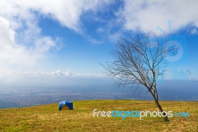 Tent Camping Stock Photo