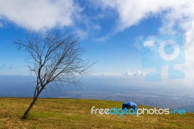 Tent Under Blue Sky Stock Photo