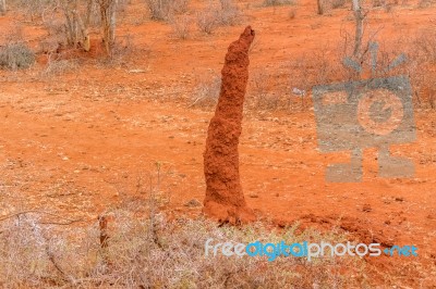 Termite Moud In Ethiopia Stock Photo