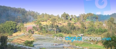 Terraced Plastic Cover Farm Near Mountain Stock Photo