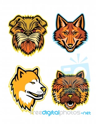 Terriers And Wolves Mascot Collection Stock Image