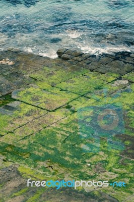 Tessellated Pavement In Pirates Bay Stock Photo