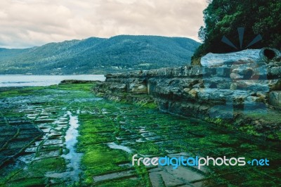 Tessellated Pavement In Pirates Bay Stock Photo