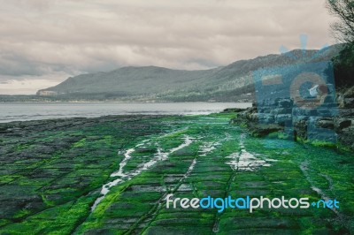 Tessellated Pavement In Pirates Bay Stock Photo