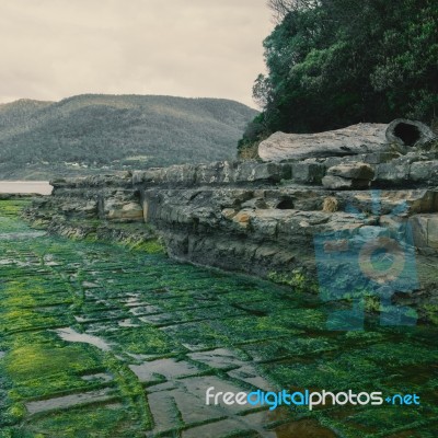 Tessellated Pavement In Pirates Bay Stock Photo