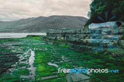 Tessellated Pavement In Pirates Bay Stock Photo