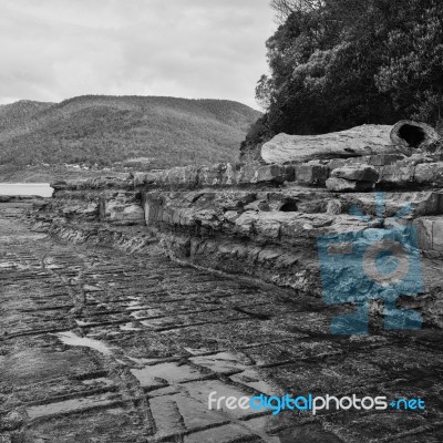 Tessellated Pavement In Pirates Bay Stock Photo