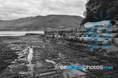 Tessellated Pavement In Pirates Bay Stock Photo