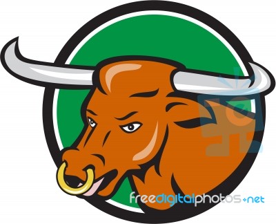 Texas Longhorn Bull Head Circle Cartoon Stock Image