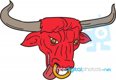 Texas Longhorn Red Bull Drawing Stock Image