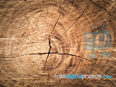 Texture Of Cut Wood Stock Photo