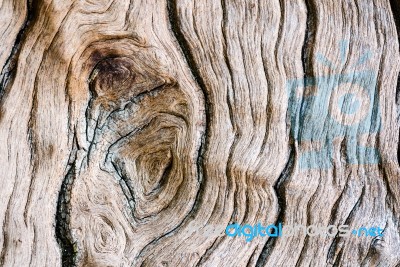 Texture Of Old Wood Stock Photo