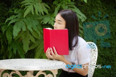 Thai Adult Student University Beautiful Girl Reading Red Book Stock Photo