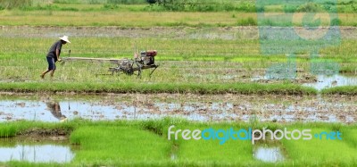 Thai Farmer Stock Photo