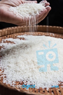 Thai Jasmine Rice Stock Photo