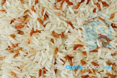 Thai White Red Jasmine Organic Rice  Stock Photo